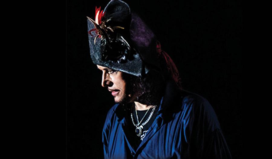 Adam Ant plus support