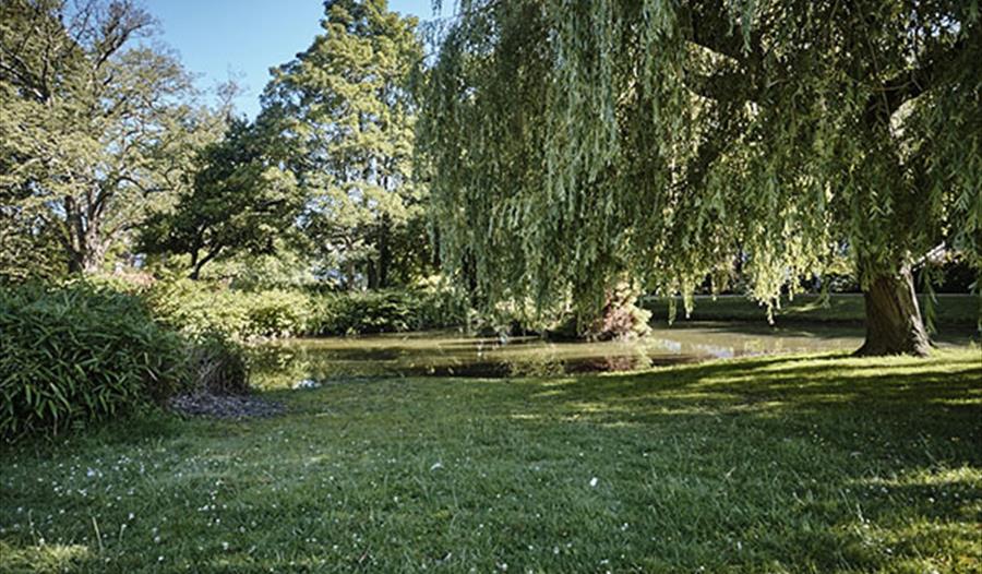 Alexandra park