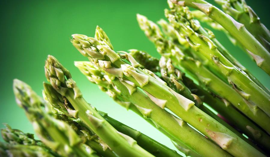 photograph of asparagus