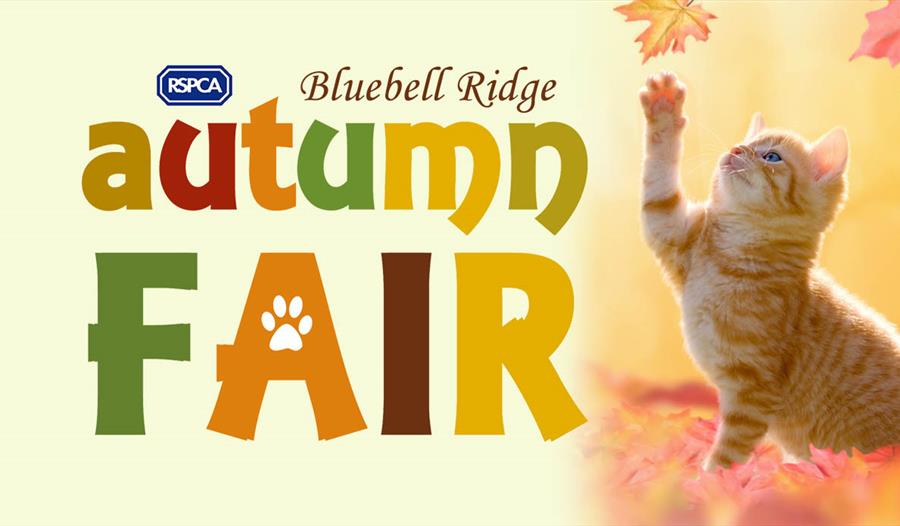 Bluebell Ridge Autumn Fair