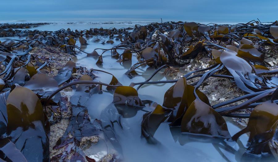 British Wildlife Photography Awards Exhibition