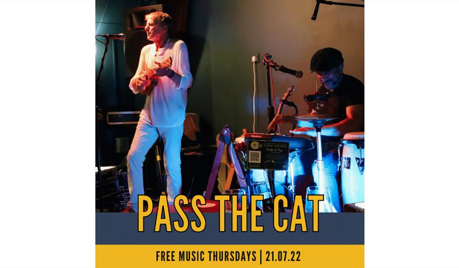 poster for pass the cat shows man on stage in white outfit with ukelele and drummer in the background