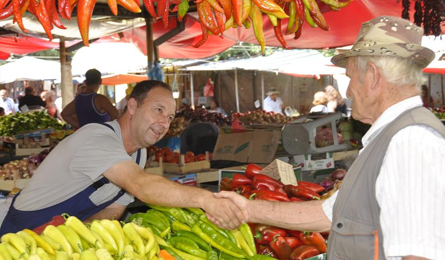 Balkan Adventure