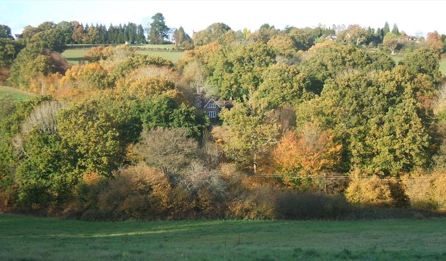 Autumn colour