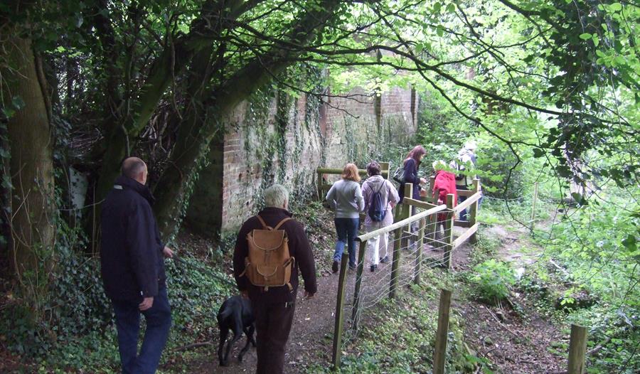 Health Walk