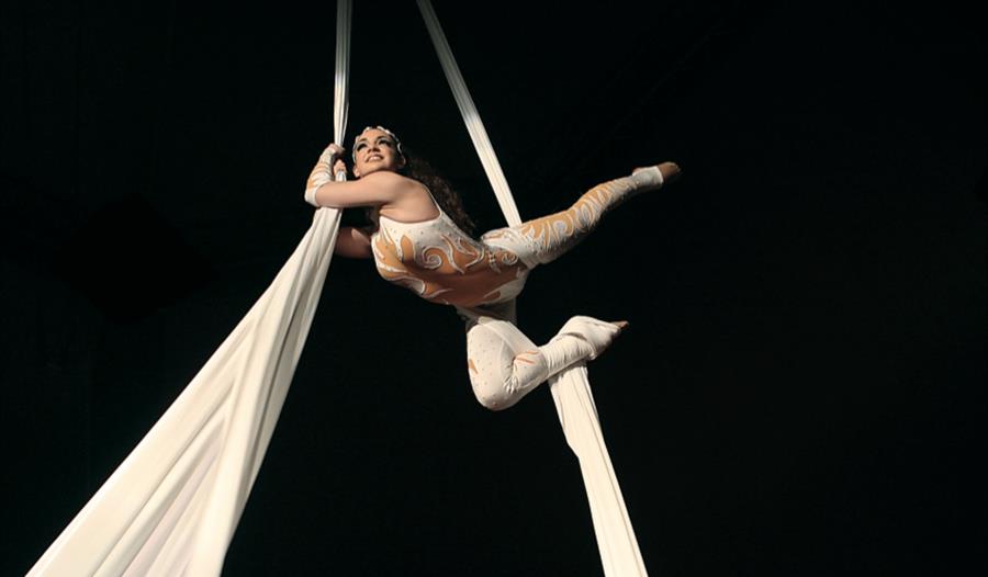 Circus Berlin Aerial artist