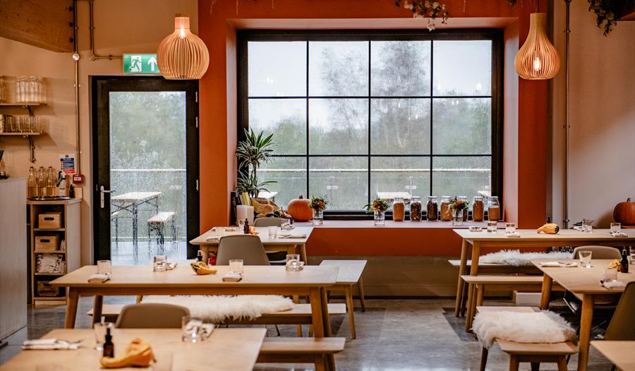 Restaurant interior with Scandinavian style design and large window with square panes looking out onto trees over a terrace.