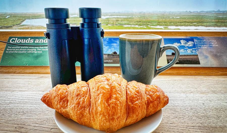 Birds & Breakfast Morning