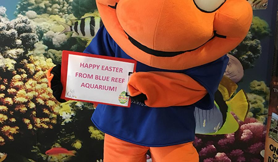 Happy Easter