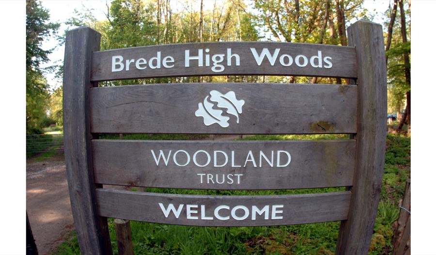 Brede High Woods