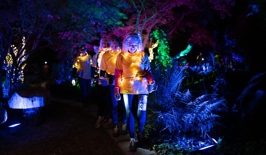 Castle Night Trek