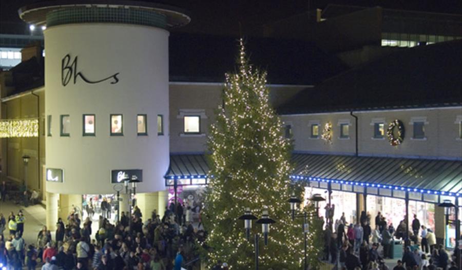 Priory Meadow