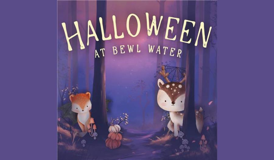 Halloween at Bewl water poster