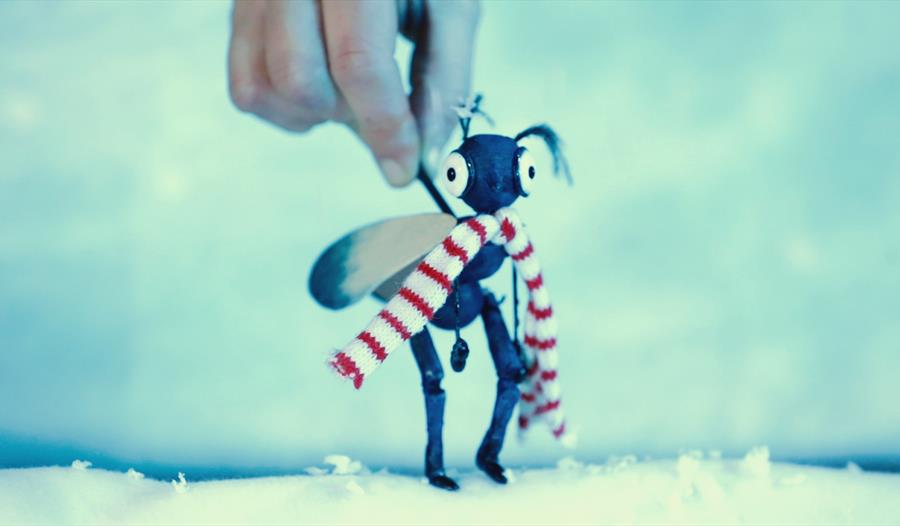 Picture of a puppet ant