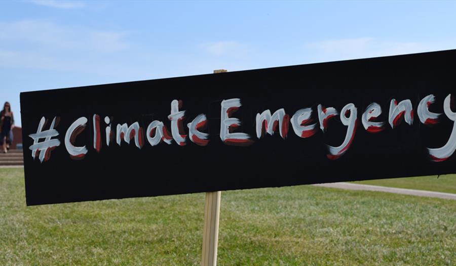 Creativity in Protest