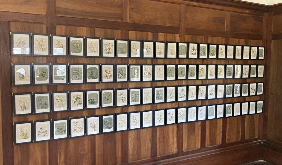 small framed pictures hanging on a wooden wall