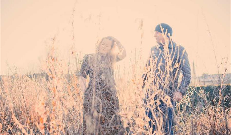 Doghouse Roses - We Are Made Of Light