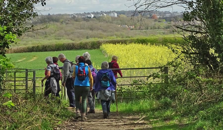 Combe Valley Countryside Park