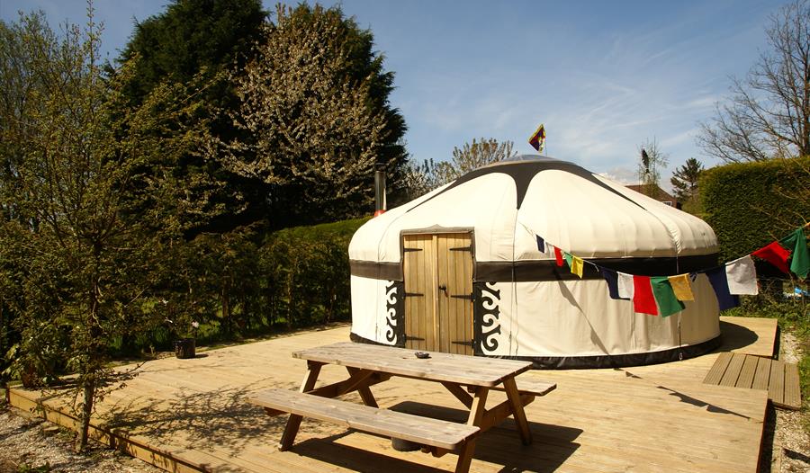 A yurt on decking with a bench in front. There is blue sky and bunting.