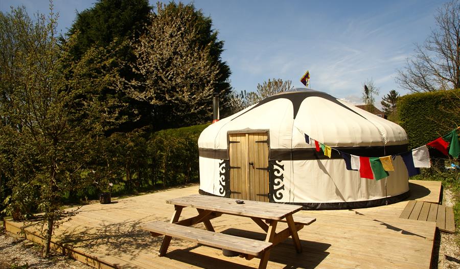 A yurt on decking with a bench in front. There is blue sky and bunting.