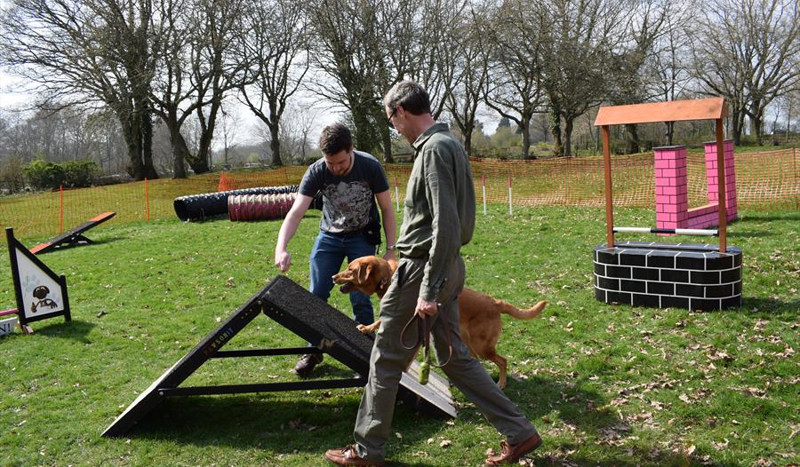 a dog with two trainers doing agility training.