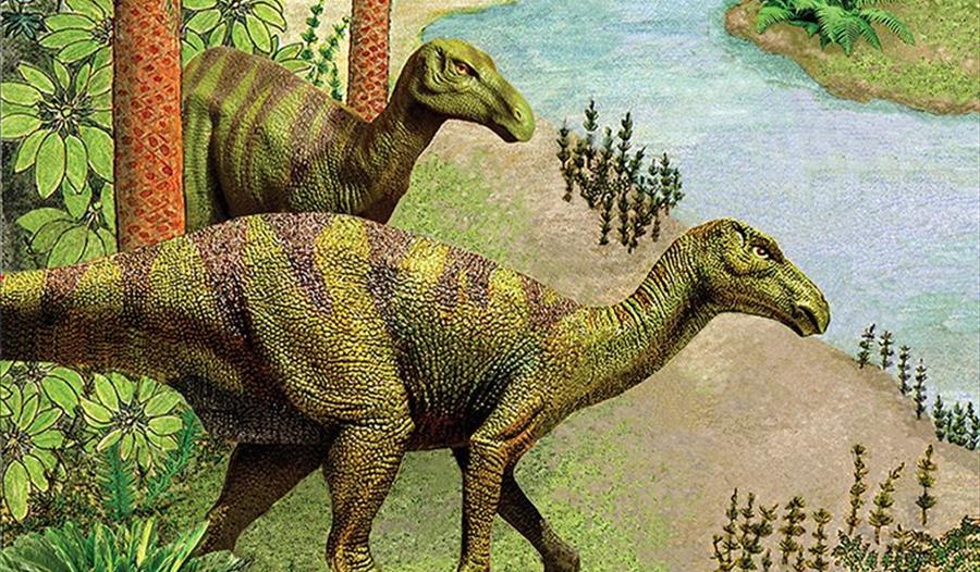 Understanding Fossils-An illustrated Talk