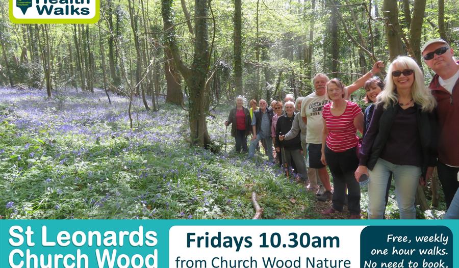 St Leonards Church Wood Health Walk