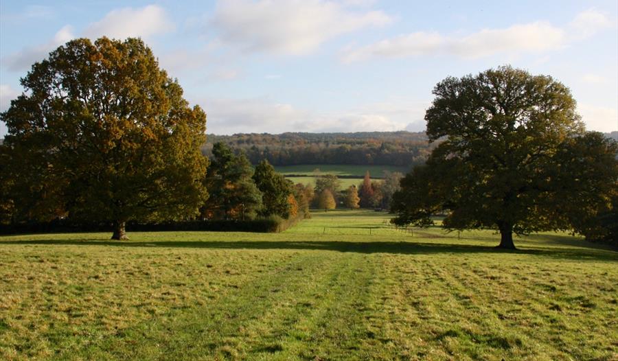 Autumn walk with a ranger