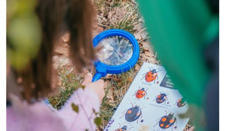 Centenary Bioblitz