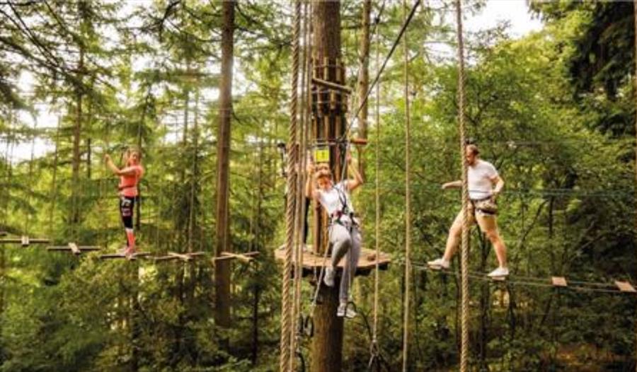 Go Ape