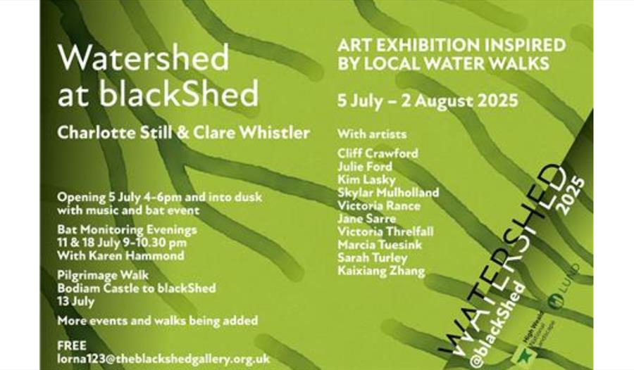 Watershed at Blackshed Gallery