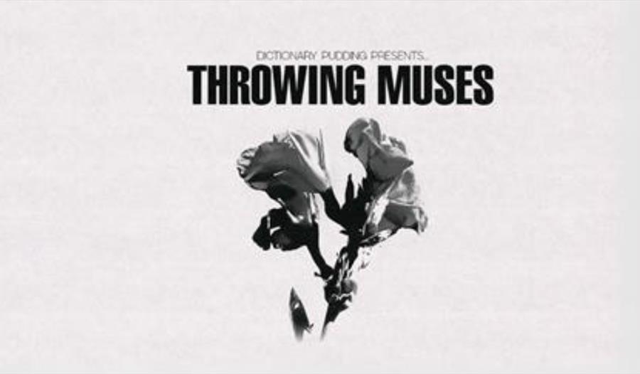 Throwing Muses