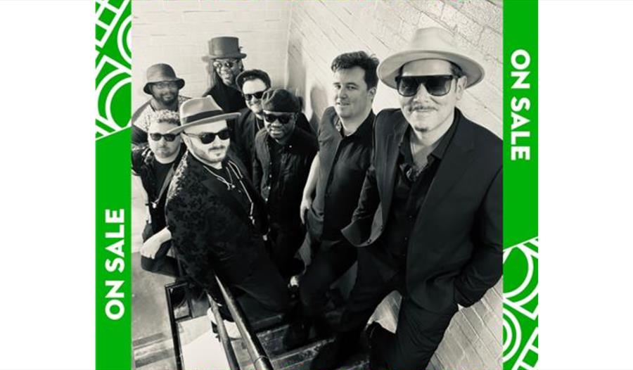 The Dualers