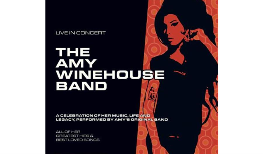Amy Winehouse Band