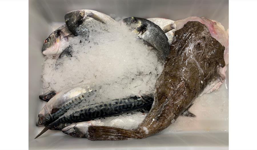 Webbes Cookery School - Sustainable Fish