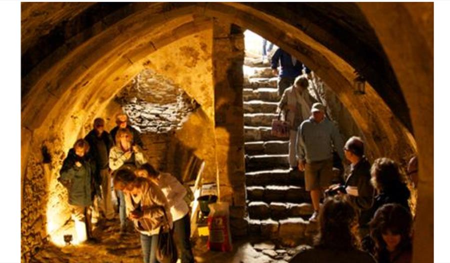 wine cellars