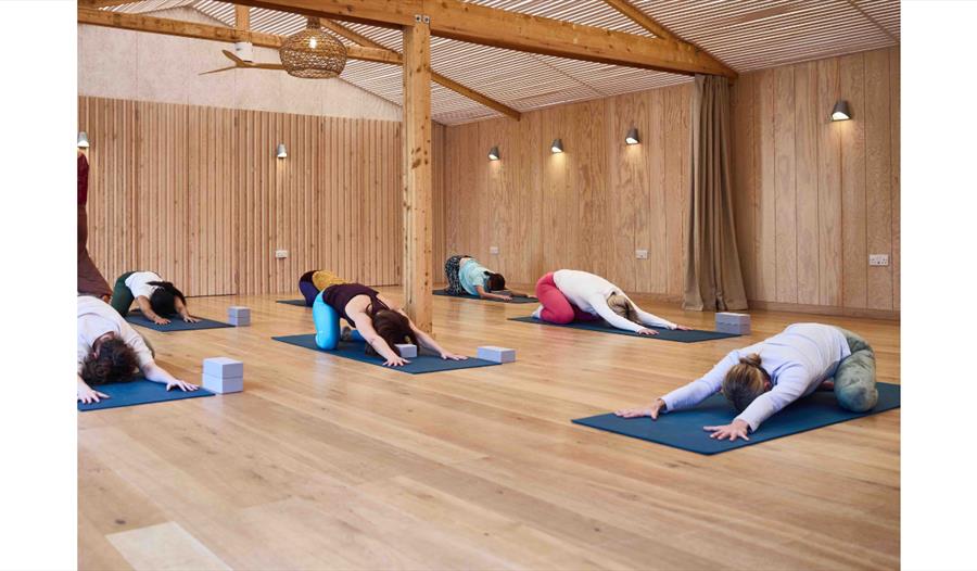 Sturgeon Moonrise Yoga