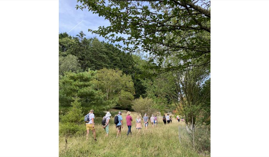 A group of people walk along a grassy trail surrounded by trees and greenery on a sunny day.