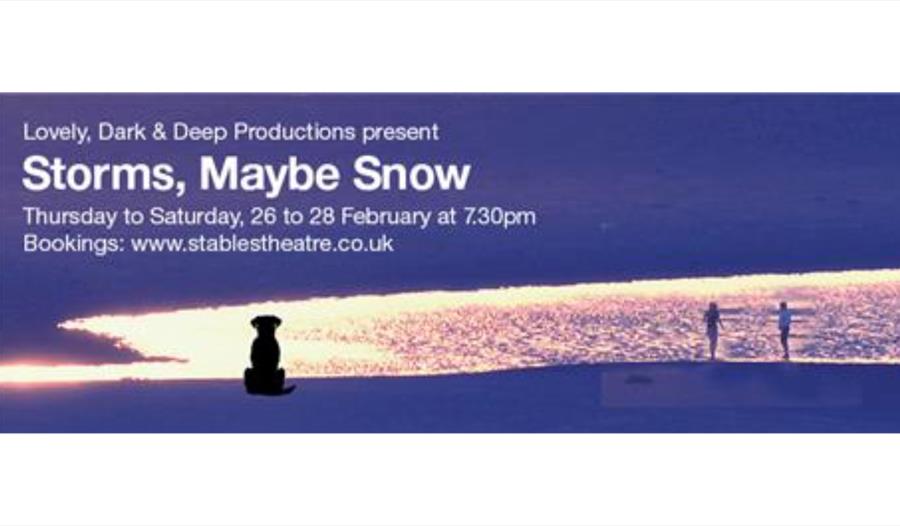 Poster for ‘Storms, Maybe Snow’ featuring two figures and a dog silhouetted against a bright shoreline at dusk.