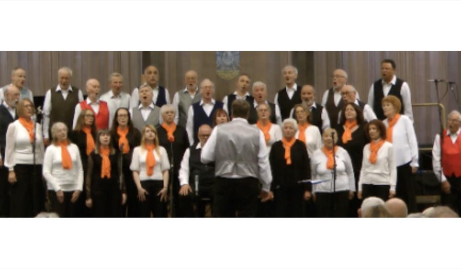 Choir of Sussex Harmonisers performs in rows with a conductor in front, wearing coordinated black and orange outfits.
