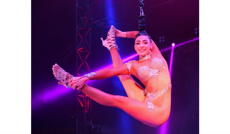 Circus Berlin aerial performer suspended above the ring, showcasing a flexibility act under colourful lights.
