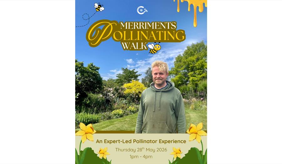 Pollinating Walk at Merriments