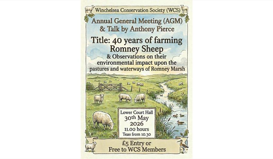 Illustrated poster for Winchelsea Conservation Society AGM and talk on Romney sheep farming, showing sheep grazing beside waterways.