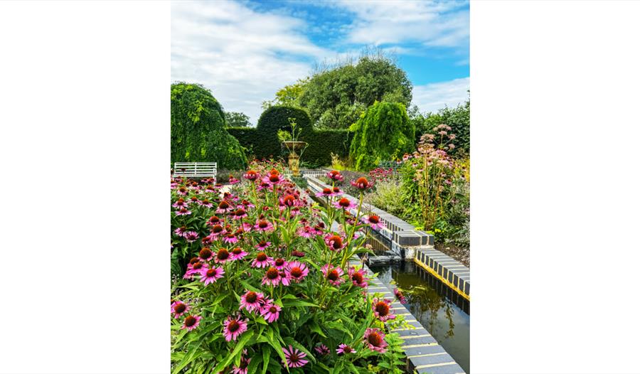 Formal garden with vibrant pink flowers, water channels and sculpted greenery beneath a bright summer sky.