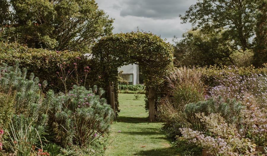 Garden path at King John’s Nursery framed by leafy archway, flowering plants, and greenery.