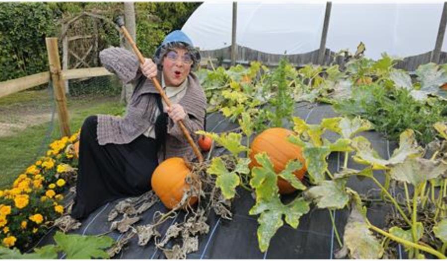 Farmyard Frights