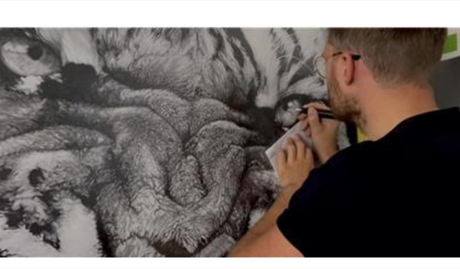 Sip and Sketch with Tom Middleton