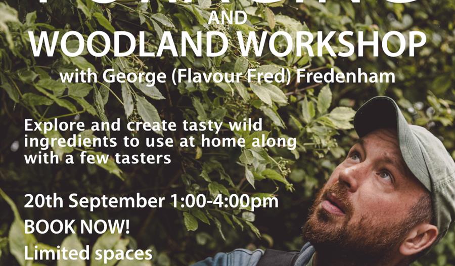 Foraging and woodland workshop