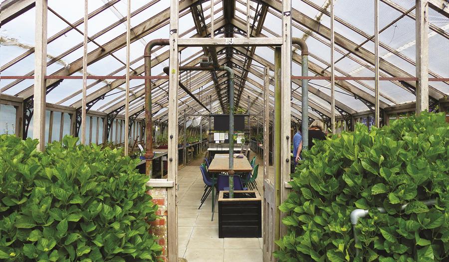 Alexandra Park Greenhouse Heritage Open Day