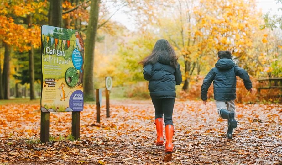 Gruffalo Party Trail at Bedgebury National Pinetum